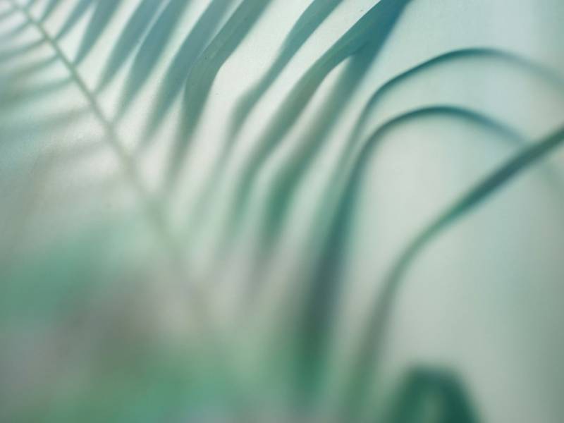 jason-leung-vRGXn47EwJE-unsplash Large